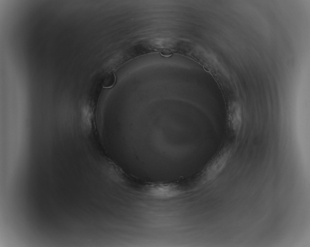 X0000102410235200808011614