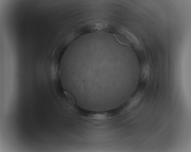 X0000102410236200808011614