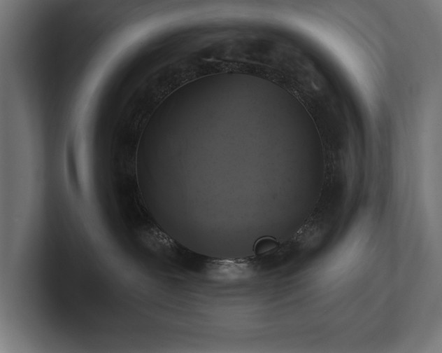 X0000102410239200808011614