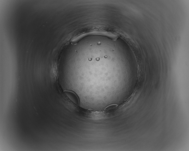 X0000102410240200808011614