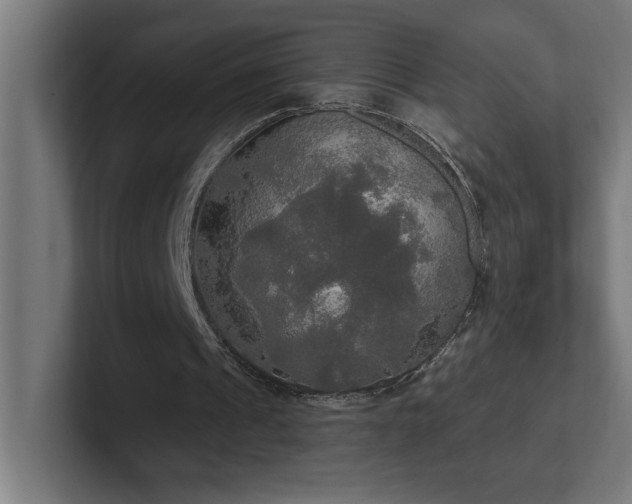 X0000102410241200808011613