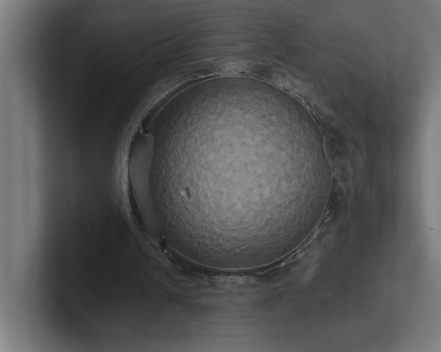 X0000102410242200808011613