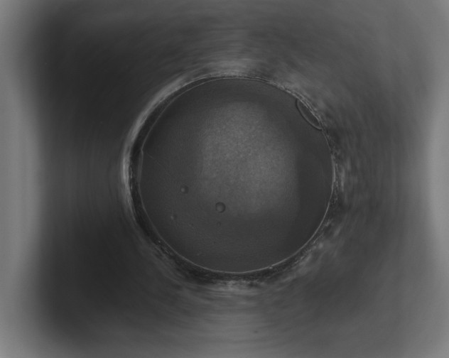 X0000102410244200808011614