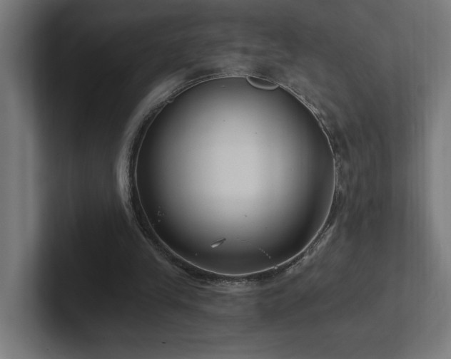 X0000102410245200808011614