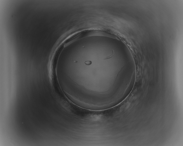 X0000102410247200808011614