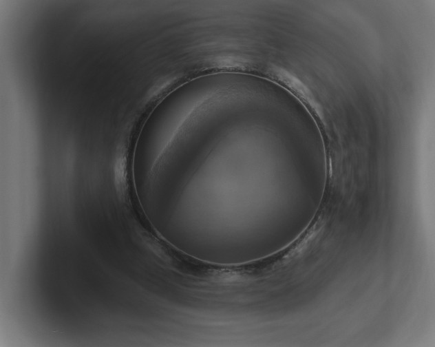 X0000102410249200808011614