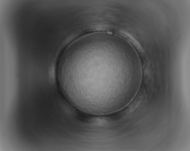 X0000102410250200808011614