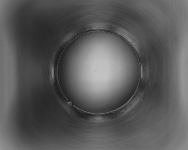 X0000102410253200808011614