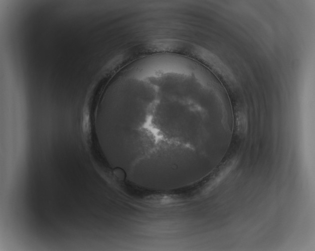 X0000102410254200808011614