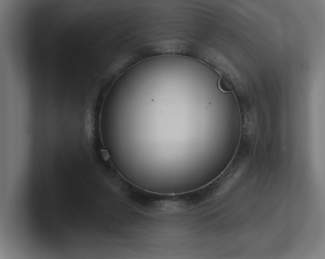 X0000102410255200808011614