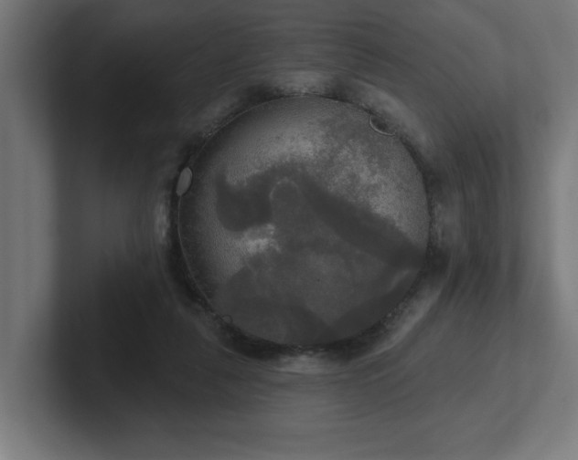 X0000102410259200808011614