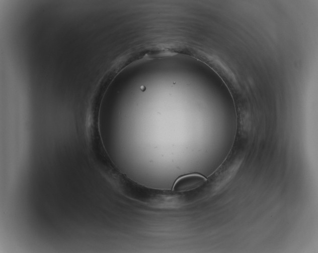 X0000102410260200808011614