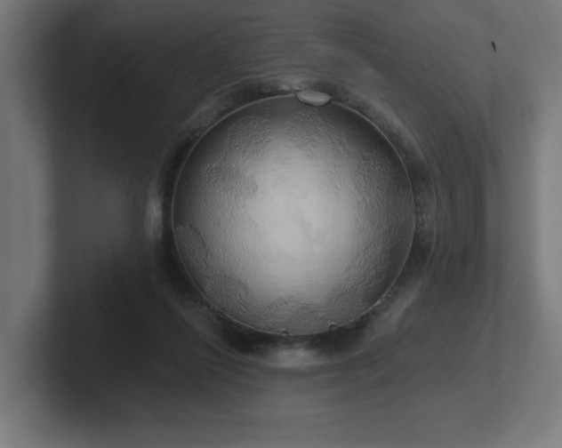 X0000102410262200808011614