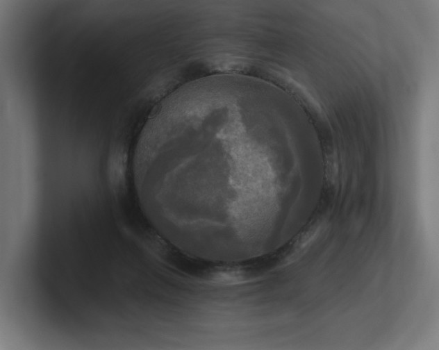 X0000102410263200808011614