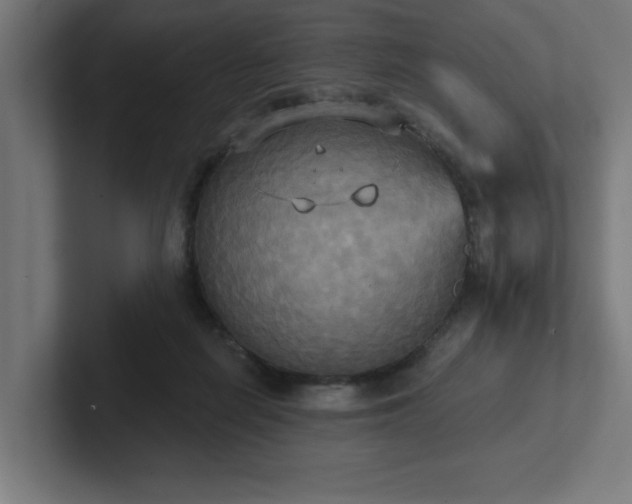 X0000102410266200808011614