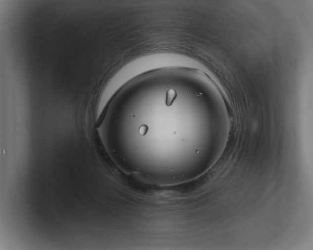 X0000102410268200808011614