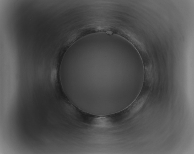 X0000102410269200808011614