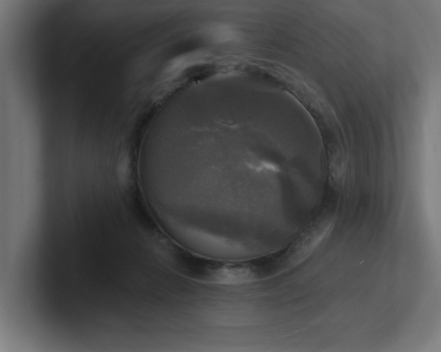 X0000102410270200808011614