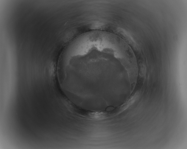 X0000102410273200808011614