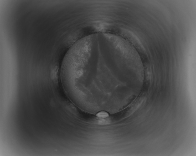 X0000102410275200808011614