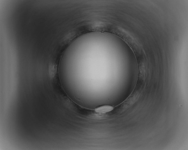 X0000102410278200808011614