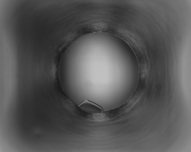 X0000102410279200808011614