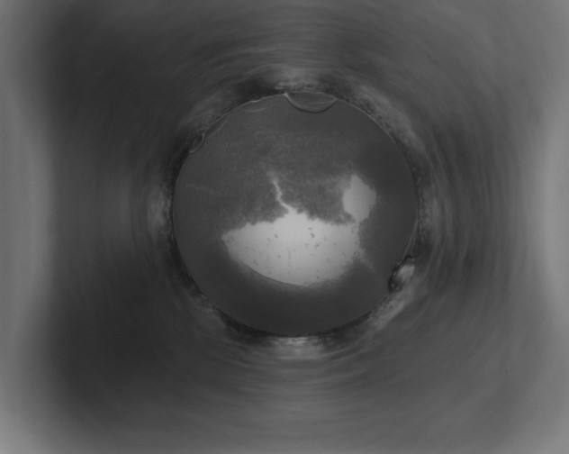 X0000102410281200808011614