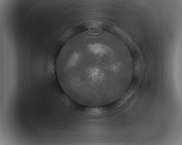 X0000102410282200808011614