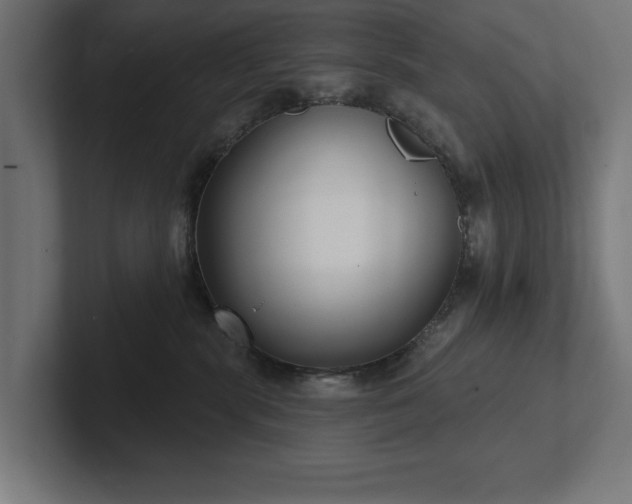 X0000102410283200808011614