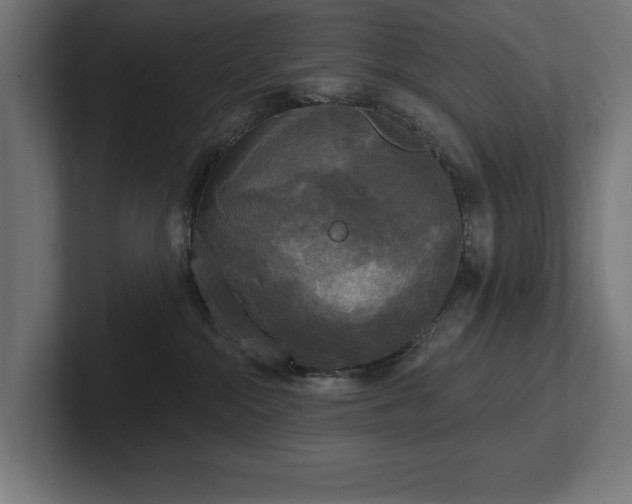 X0000102410284200808011614