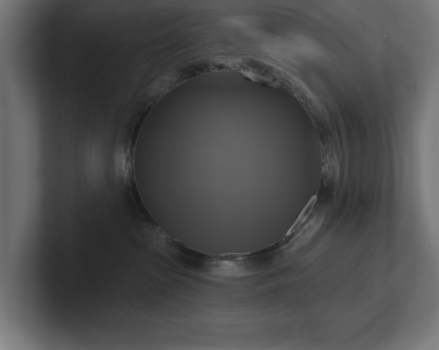 X0000102410285200808011614