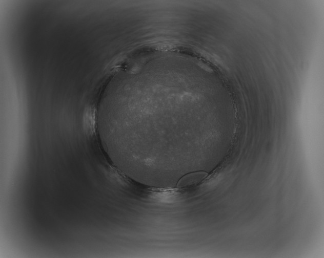 X0000102410288200808011614