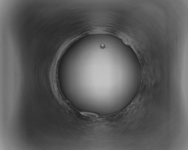 X0000102410289200808011613