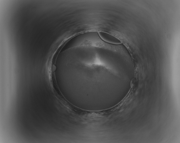 X0000102410290200808011613