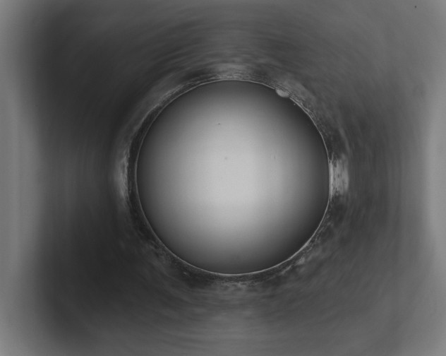 X0000102410291200808011613