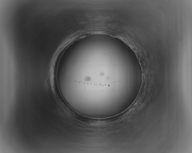 X0000102410293200808011613