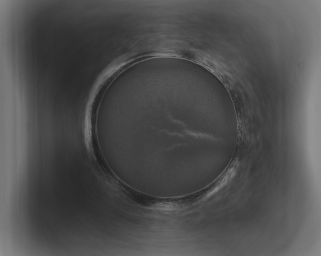 X0000102410294200808011613