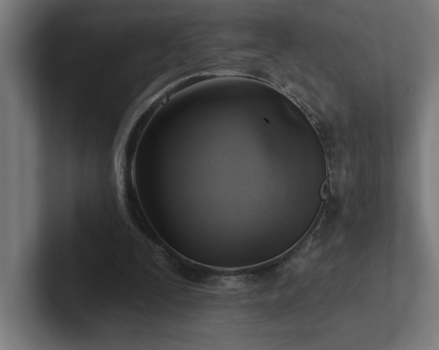 X0000102410295200808011613