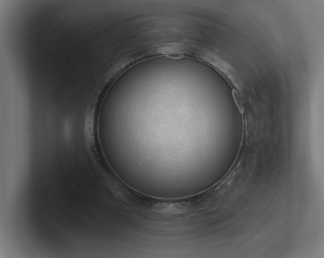 X0000102410297200808011613