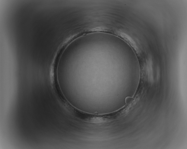 X0000102410298200808011613