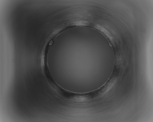 X0000102410299200808011613