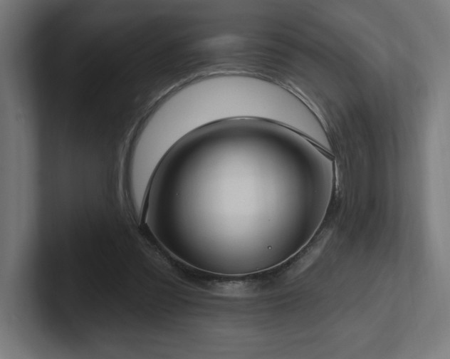 X0000102410301200808011613