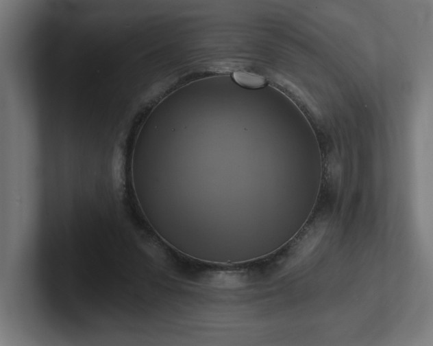 X0000102410303200808011613