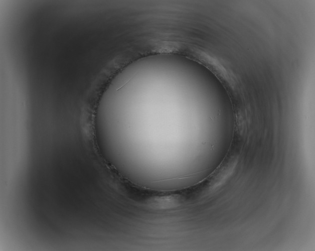 X0000102410307200808011613