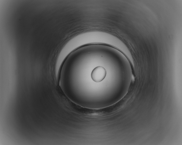 X0000102410312200808011613