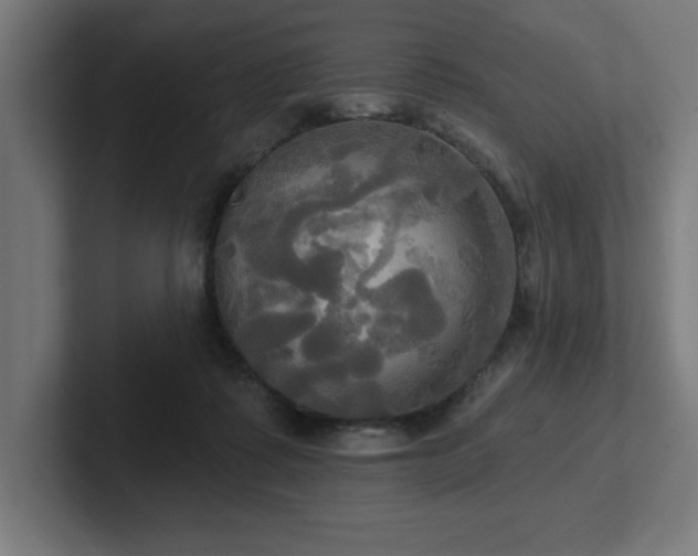 X0000102410315200808011613