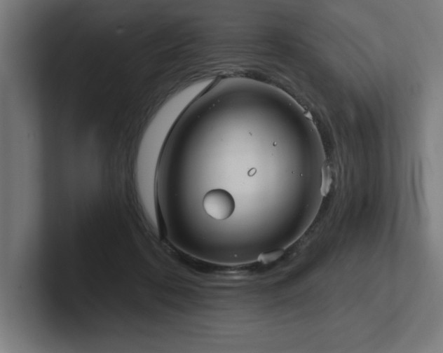 X0000102410316200808011613