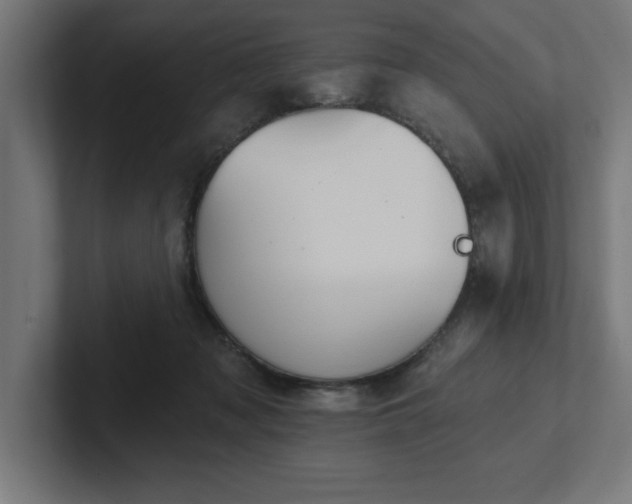 X0000102410317200808011613