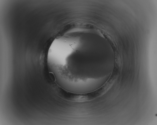 X0000102410319200808011613