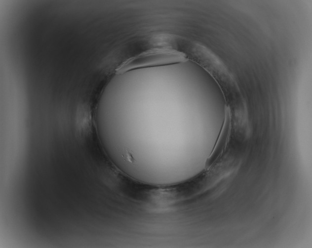 X0000102410320200808011613